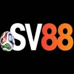 SV88 Profile Picture