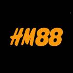 HM88 BOATS Profile Picture