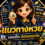 webhuaycomse Profile Picture