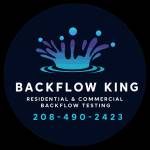 backflow Profile Picture