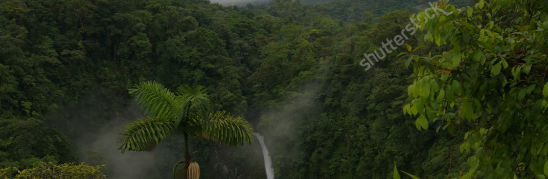 La Fortuna Hikes And Trails Cover Image