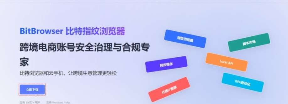 ZH BitBrowser Cover Image