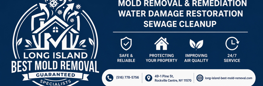 Long Island Best Mold Removal Cover Image