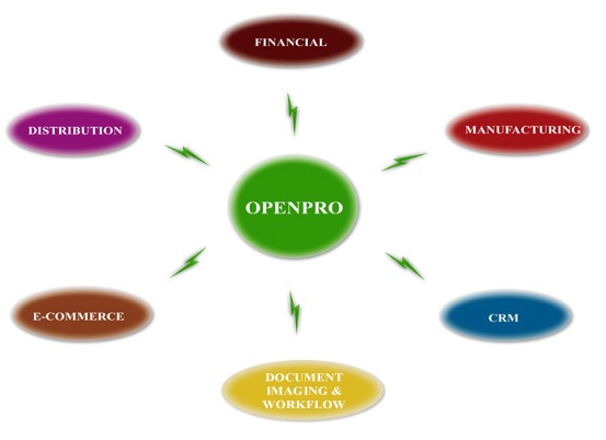 ERP Application Modules & Cloud-Based ERP Software | OpenPro