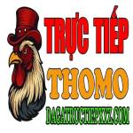 ĐÁ GÀ TRỰC TIẾP XYZ Profile Picture