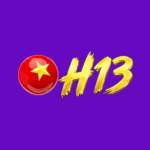 SH133 Net Profile Picture
