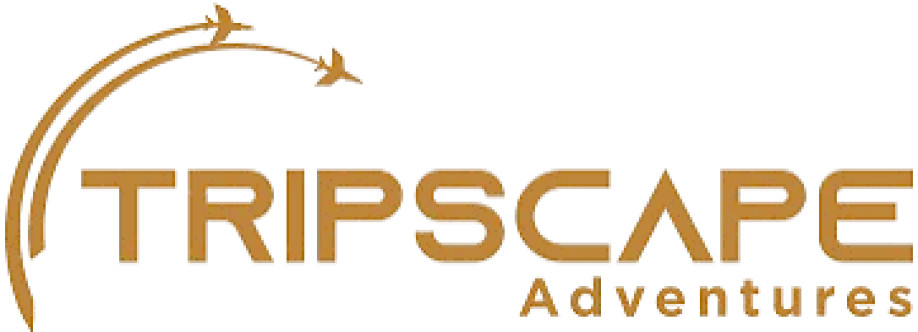 Tripscape Tourism UAE Tours and Desert Safari Cover Image