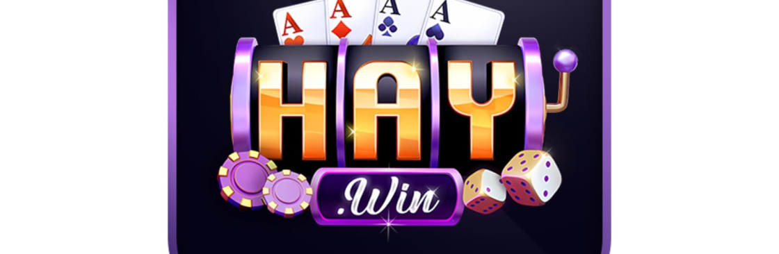 HAYWIN Cover Image