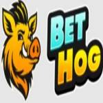 BetHog UK Casino Profile Picture