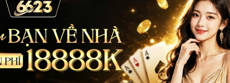 6623 Vnnet Cover Image