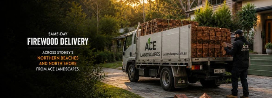 Ace Landscape Cover Image
