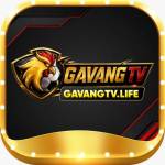 Gavangtv life Profile Picture