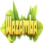 Wazamba Casino Profile Picture