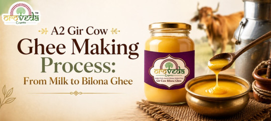A2 Gir Cow Ghee Making Process: From Milk to Bilona Ghee