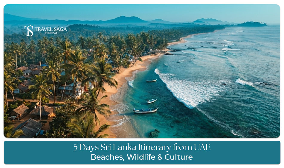 5 Days Sri Lanka Itinerary from UAE: Beaches, Wildlife & Culture - Travel Saga Tourism