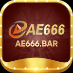 AE666 Profile Picture