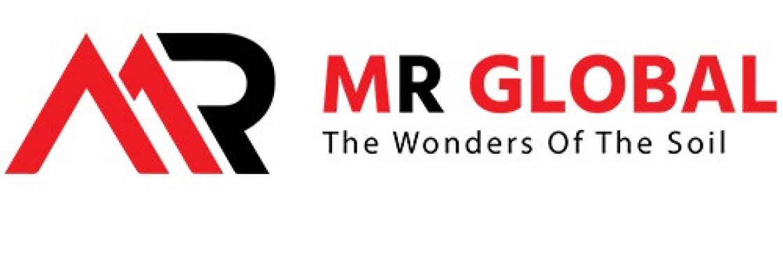 Mrglobal Bhuj Cover Image