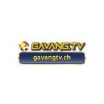 GAVANGTV CH Profile Picture