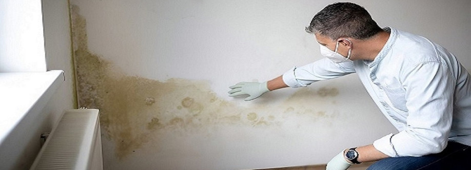 The Mould Assessors Cover Image