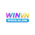 winvnaeorg Profile Picture