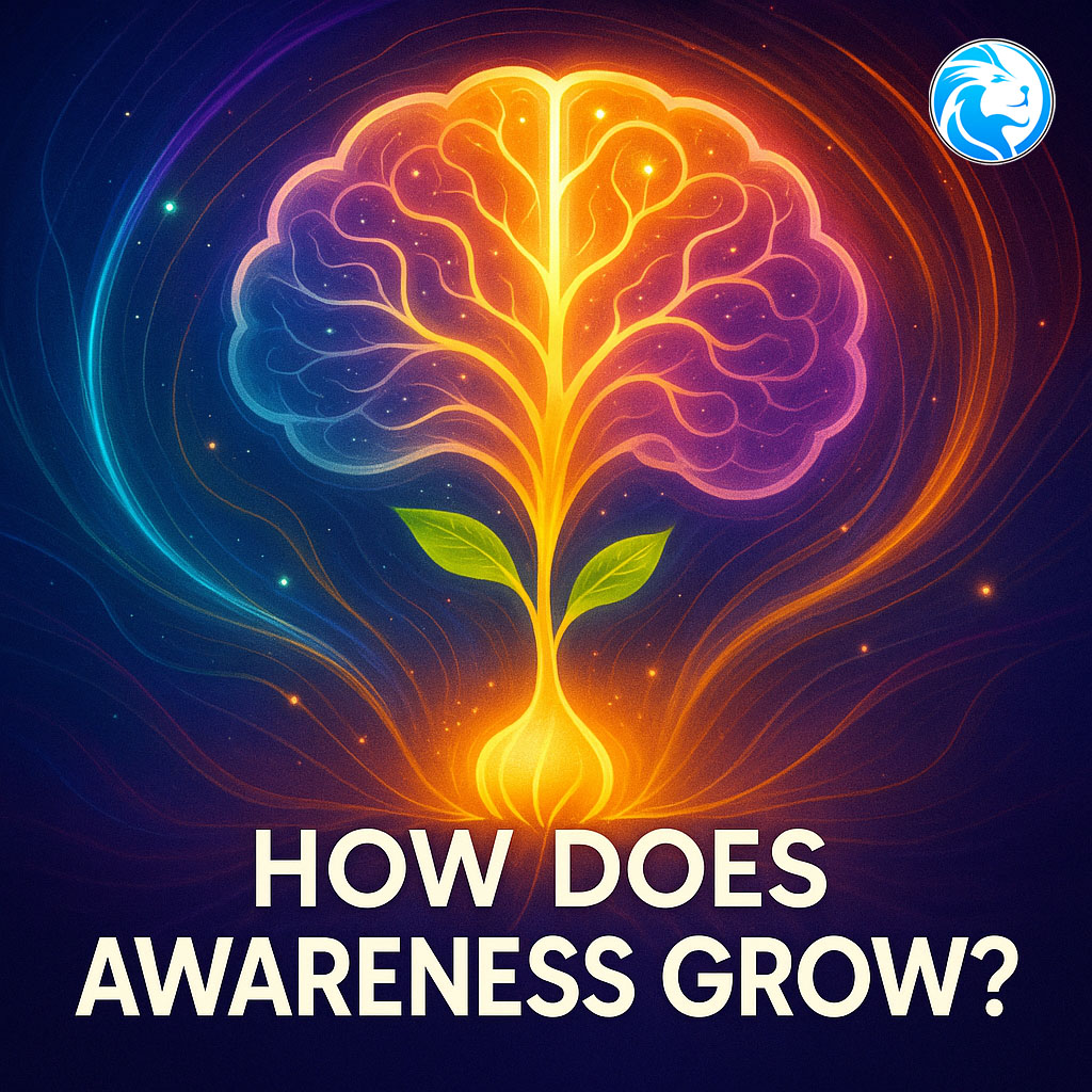 How Does Awareness Grow? - 808 Lion Lifestyle