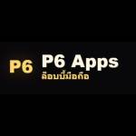 p6 Profile Picture