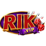 rikvipt1de Profile Picture