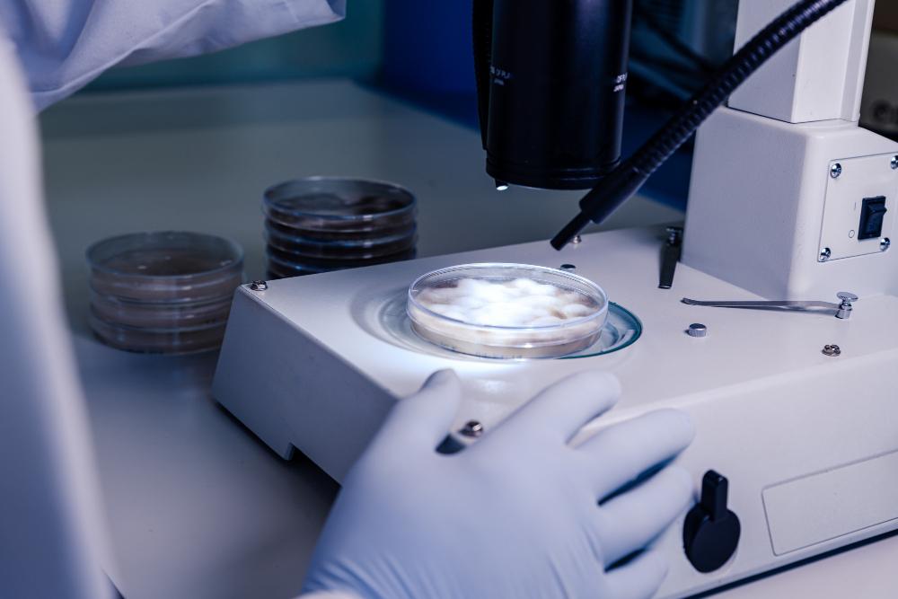 What Makes Centrifuge Equipment Essential for Clinical Laboratories...