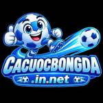 CadoBongDa Profile Picture
