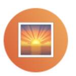 Sunrise Sensei Profile Picture