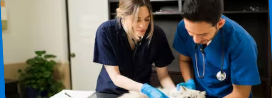 Maillardville Animal Hospital Cover Image