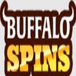 Buffalo Spins Casino profile picture
