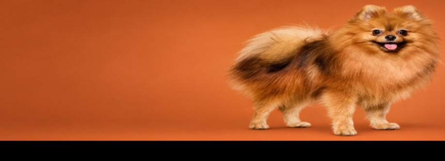 Burnette’s Exclusive Pomeranians Cover Image