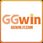 ggwinit com Profile Picture