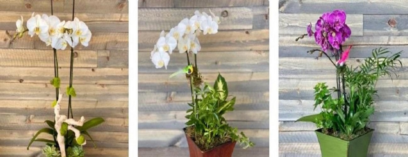 Send Love and Happiness with Flower Delivery Sunnyvale - Smart SEO Article