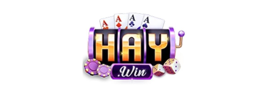 HAYWIN Cover Image