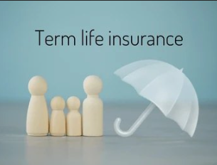 How Term Life Insurance Supports Income Replacement for Your Family? - Responses Hub