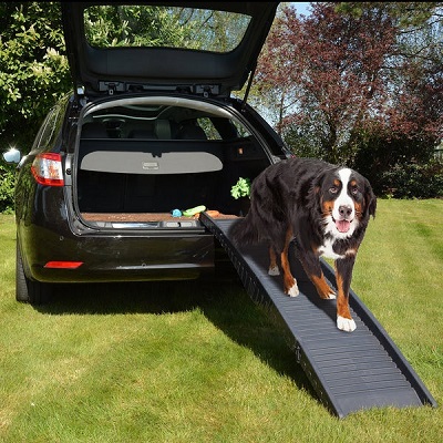 UK Dog Food Recall 2026: What Pet Owners Should Know About Recent Safety Concerns – Animal Stroller