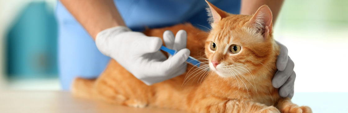 Intercity Animal Emergency Clinic Cover Image