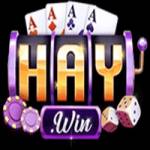 HAYWIN Profile Picture