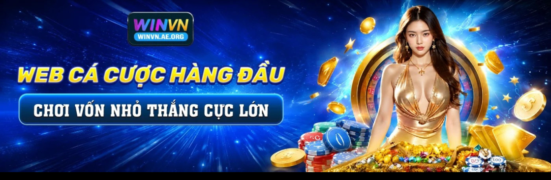 winvnaeorg Cover Image