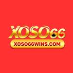 Xoso66wins Com Profile Picture