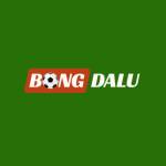 Bongdaluvip99 com Profile Picture