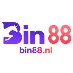 BIN88 Profile Picture