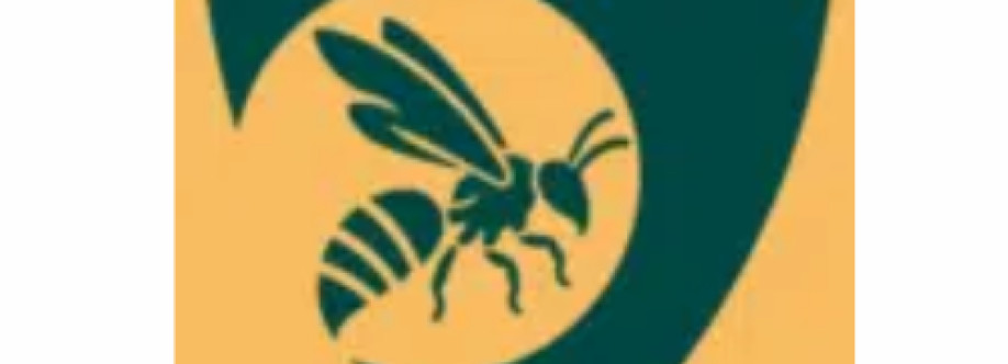 Kammerjäger für Wespen Cover Image