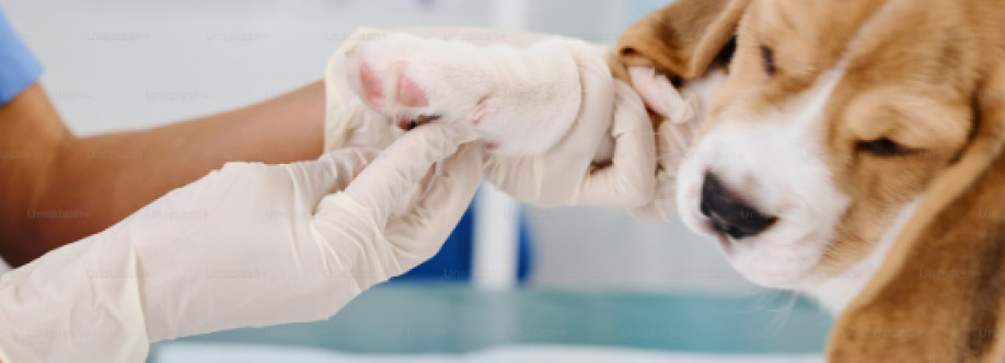 MyVet Hub Cover Image