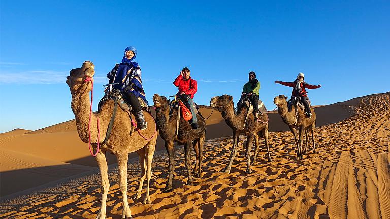 Private Marrakech Tours: Explore Beyond the Medina to Morocco's Hidden Gems - JustPaste.it