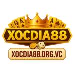 Xocdia88z eu com Profile Picture