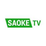 SaokeTV Profile Picture
