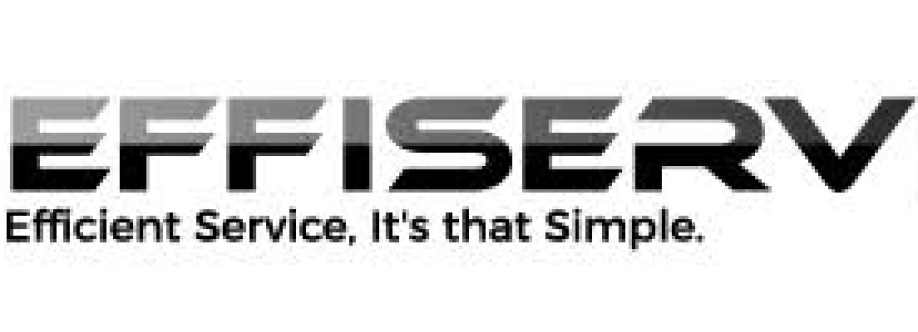 EFFISERVICE USA Cover Image